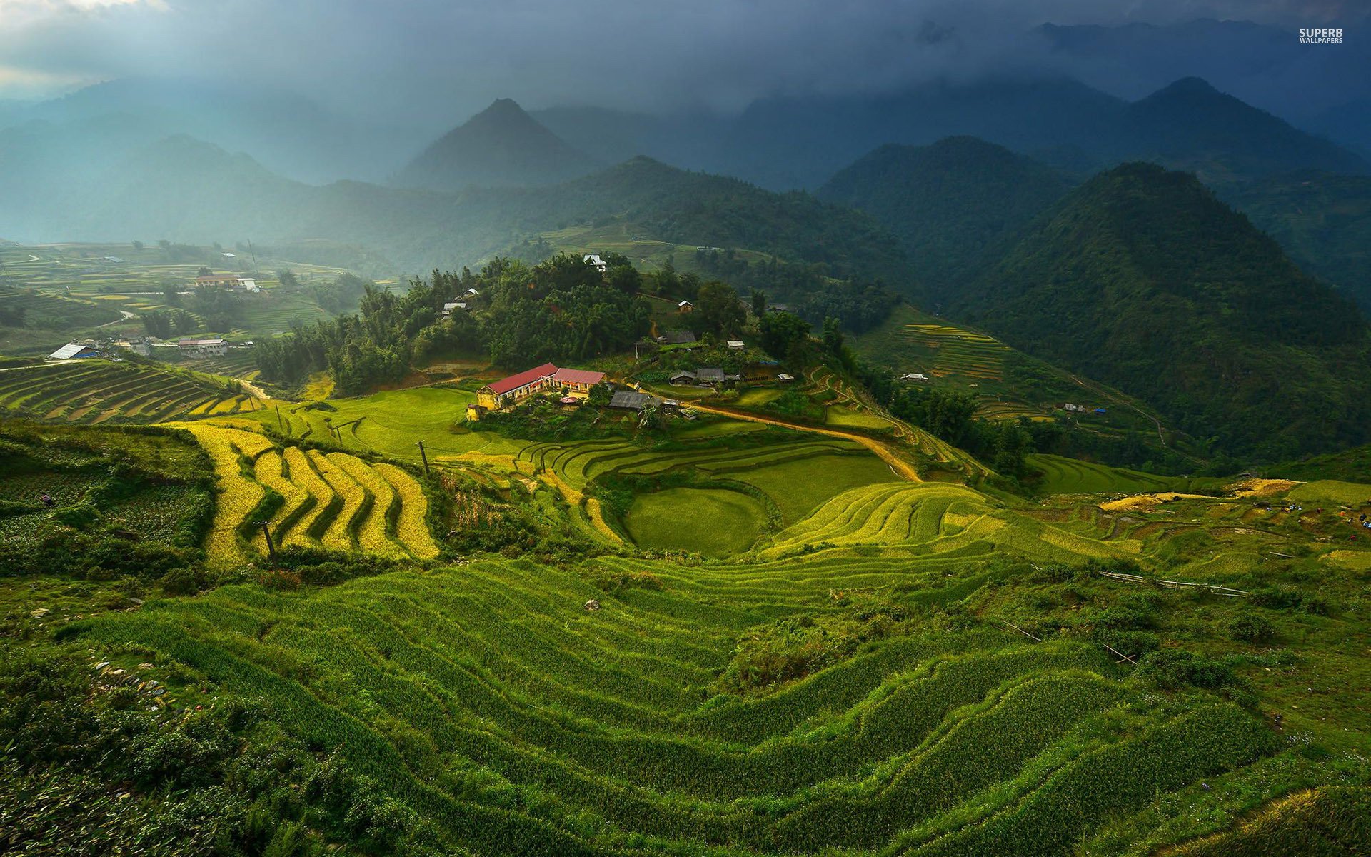 Image of view of the green hills in Darjeeling-YP653550-Picxy